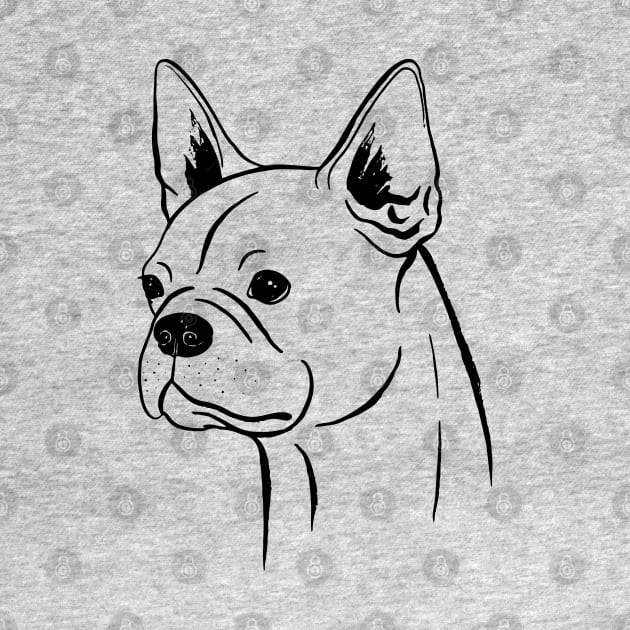 Boston Terrier (Black and White) by illucalliart